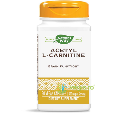 Acetyl L-Carnitine (Acetil L-Carnitina) 500mg 60cps Secom,