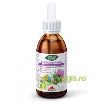 Extract de Armurariu Ecologic/Bio 50ml