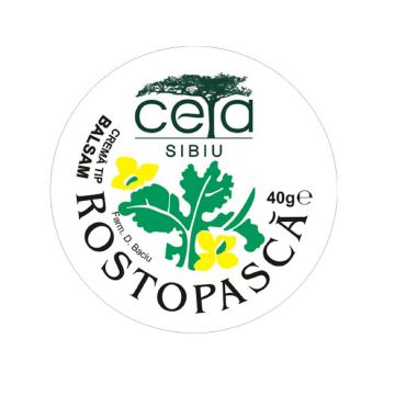 Unguent cu rostopască, 40 g, Ceta Sibiu