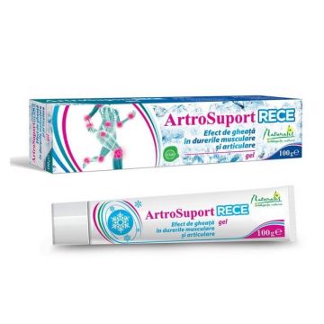 Naturalis ArtroSuport RECE gel x 100 g