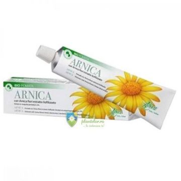 Arnica unguent 50 ml