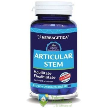 Articular Stem 60 capsule Articular Stem 60 capsule