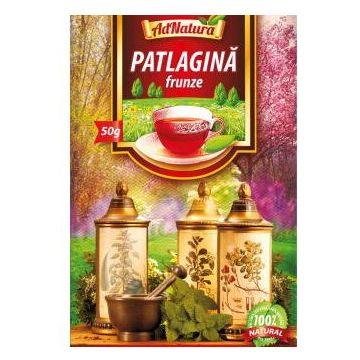 Ceai Patlagina frunze 50 gr