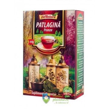Ceai Patlagina frunze 50 gr