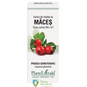 Extract din Mladite de Maces 50 ml