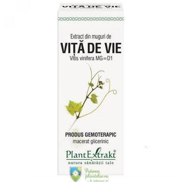 Extract din Muguri de Vita de vie 50 ml