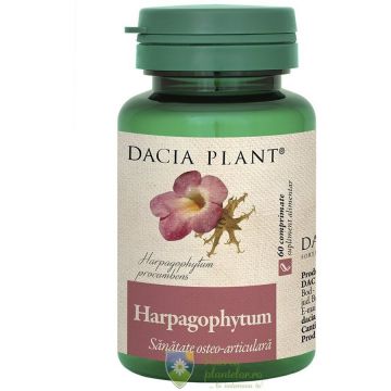 Harpagophytum 60 comprimate