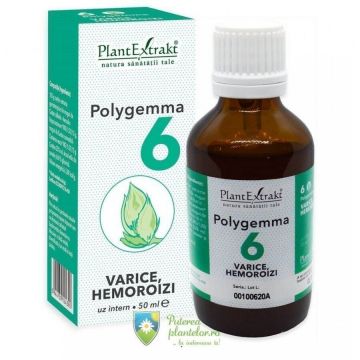 Polygemma 6 Varice, Hemoroizi 50 ml