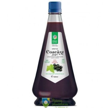 Sirop de Coacaz Negru 520 ml