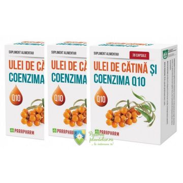 Ulei de Catina si Coenzima Q10 45mg 30 capsule 2+1 Cadou