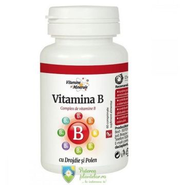 Vitamina B cu drojdie si polen 60 comprimate
