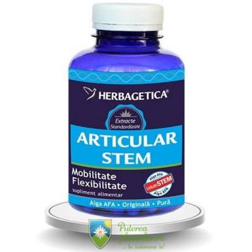 Articular Stem 120 capsule