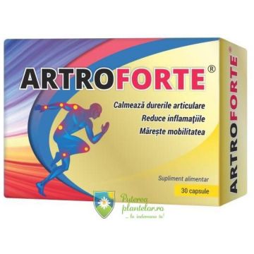 Artroforte 30 capsule