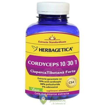Cordyceps Ciuperca Tibetana Forte 120 capsule