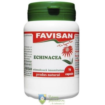 Echinacea 70 capsule