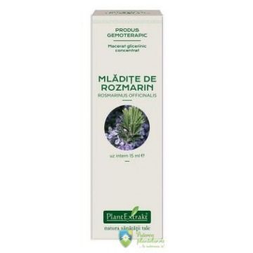 Extract din Mladite de Rozmarin concentrat 15 ml