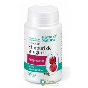 Extract din Samburi de Struguri 30 capsule