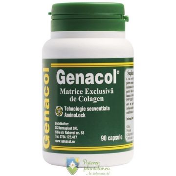 Genacol 90 capsule