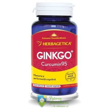 Ginkgo+ Curcumin95 60 capsule