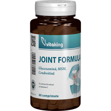 Glucosamine, Condroitin, MSM 60 tablete Joint Formula