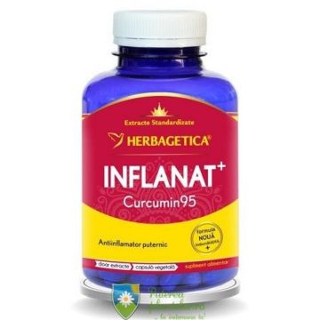 Inflanat+ Curcumin95 120 capsule