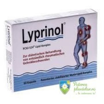 Lyprinol 60 capsule