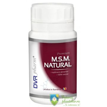Msm natural 90 capsule
