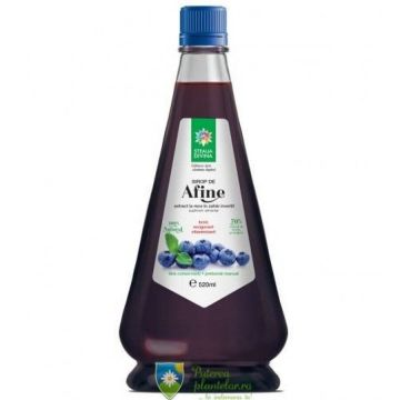 Sirop de Afine 520 ml