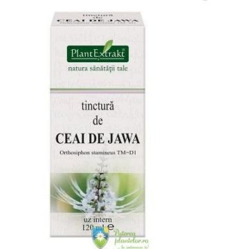 Tinctura de Ceai de Jawa 120 ml Tinctura de Ceai de Jawa 120 ml