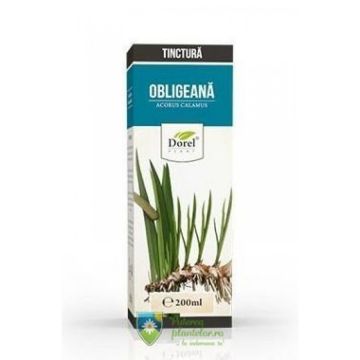 Tinctura Obligeana 200 ml