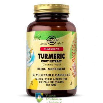 Turmeric root extract 60 capsule