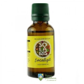 Ulei Esential Eucalipt 30 ml