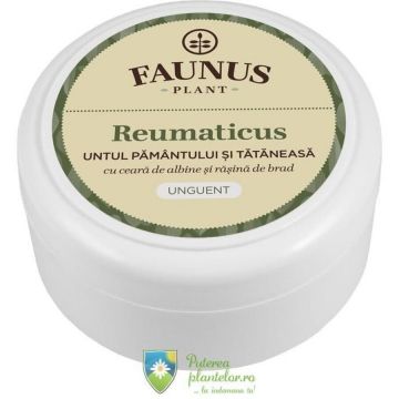 Unguent Reumaticus (Untul Pamantului si Tataneasa) 100 ml