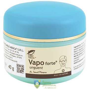 Vapo Forte unguent 40 gr