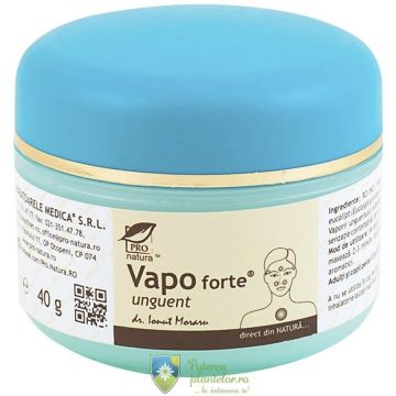 Vapo Forte unguent 40 gr