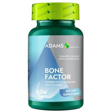 BoneFactor GS Condroitin MSM 60 capsule BoneFactor GS Condroitin MSM 60 capsule