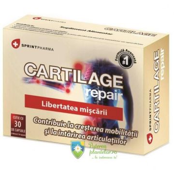 Cartilage Repair 30 capsule