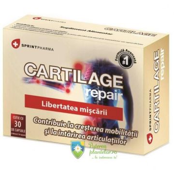 Cartilage Repair 30 capsule Cartilage Repair 30 capsule