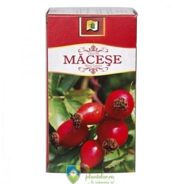 Ceai Macese Fructe 20 plicuri Ceai Macese Fructe 20 plicuri