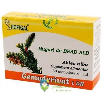 Gemoderivat muguri de Brad alb 30 monodoze