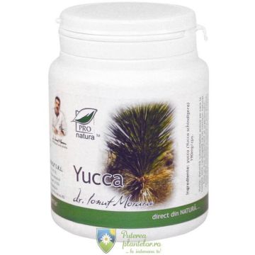 Yucca 200 capsule