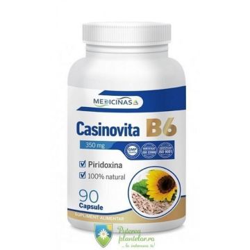 Casinovita B6 90 capsule
