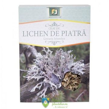 Ceai Lichen De Piatra 50 gr