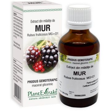 Extract din mladite de mur 50ml