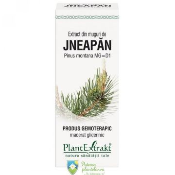 Extract din Muguri de Jneapan 50 ml Extract din Muguri de Jneapan 50 ml