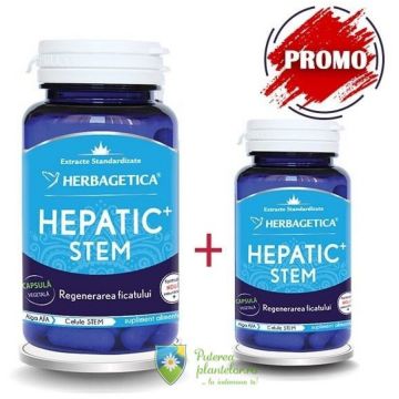 Hepatic+ Stem 60 capsule + 10 capsule Cadou