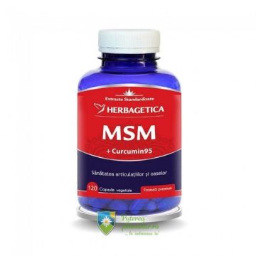 MSM 500mg 120 capsule