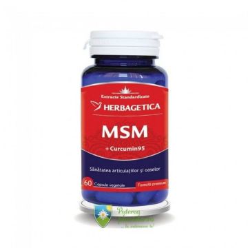 MSM 500mg 60 capsule