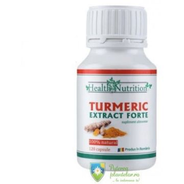 Turmeric Extract Forte natural 120 capsule