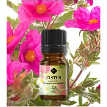 Ulei esențial de Cistus Bio 5 ml